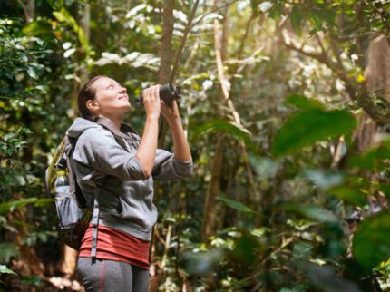 Jeep Safari  “Nature Tour for Birdwatching in Enigma of the Rock Trail”