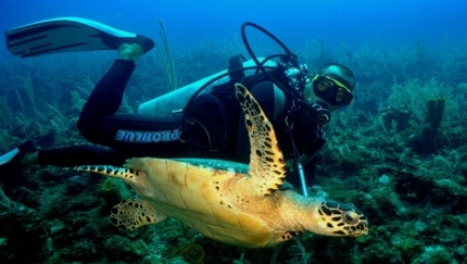 "Diving in Cayo Levisa” Tour