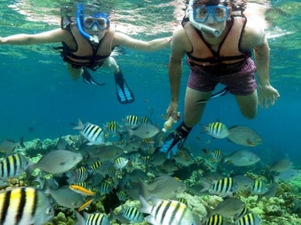 Snorkeling in the coral reff in Santa Lucia