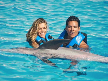 Dolphins at Cayo Guillermo dolphinarium