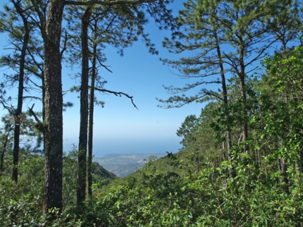 Sierra Maestra panoramic view, Santiago de Cuba