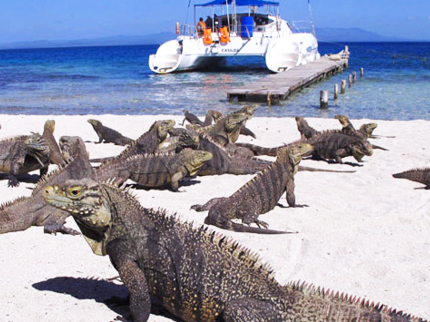 Cayo Rico beach, Cayo Largo del Sur.