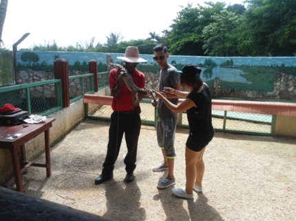 Guama’s crocodile breeding farm, Guamá tourist park