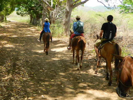 “Horseback Riding to Waterfall El Pilón” Tour