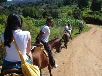 “Horseback Riding to Waterfall El Pilón” Tour