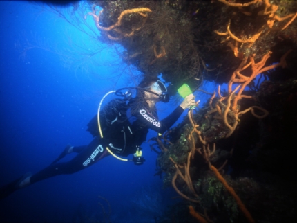 Scuba diving tour at Jardines del Rey