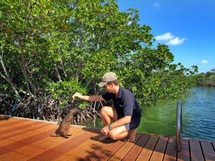 Boat adventure tour, Cayo Guillermo