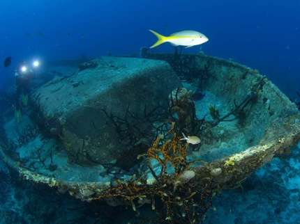 Scuba diving tour in Bahía de Cochinos, Matanzas