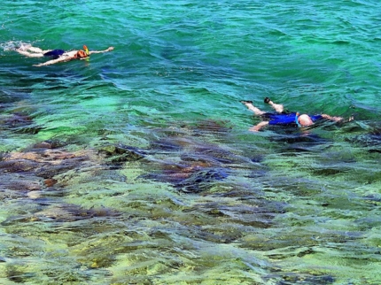 Snorkeling at the coral reef, "Marine Adventure"Tour