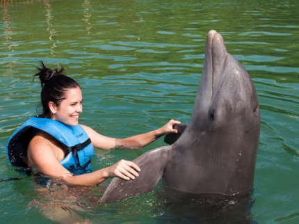 Swimming with dolphins tour at Cayo Guillermo dolphinarium