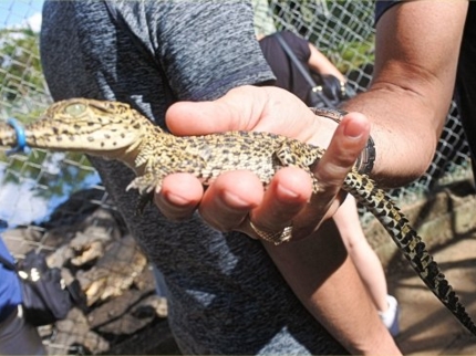 Atractions in Guamá tourist park