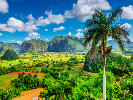 Las Terrazas - Viñales Valley Private Tour in American Classic Cars