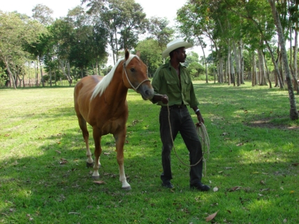 Giro farm, Santiago de Cuba