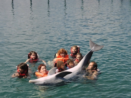 Dolphinarium, Cienfuegos city. Jeep “Overnight Cienfuegos”