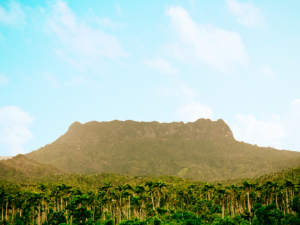 Jeep Tour "El Yunque Aventura en Jeep"