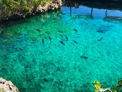 Cueva de los Peces panoramic view