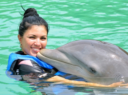 Swimming with dolphins tour at Varadero dolphinarium