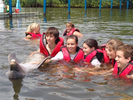 Swimming with dolphins tour at Varadero dolphinarium