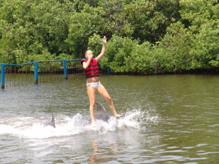 Swimming with dolphins tour at Varadero dolphinarium