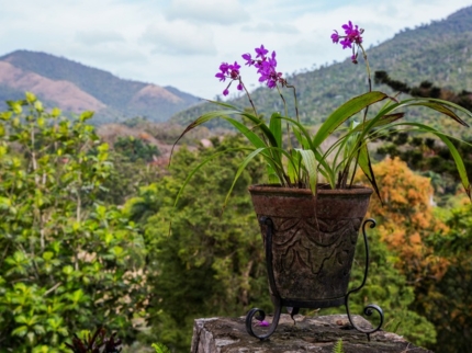 “Ride to Soroa & Las Terrazas in Old Fashion American Classic Cars” Tour