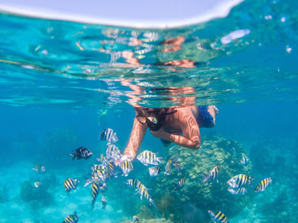 Snorkeling in Cayo Coco
