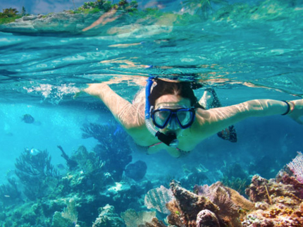 Snorkeling at the coral reef