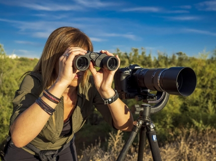 Birdwatching in Cayo Coco