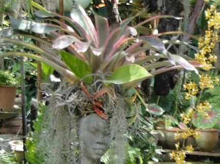 Jardín de los Helechos de Santiago de Cuba