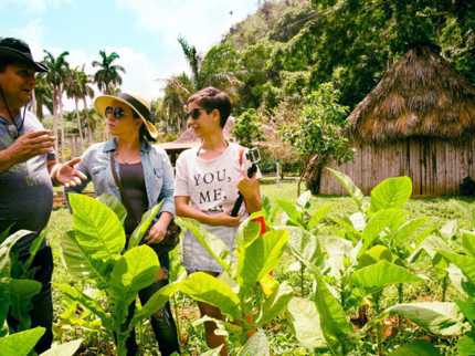 Tobacco plantations, Tobacco Route