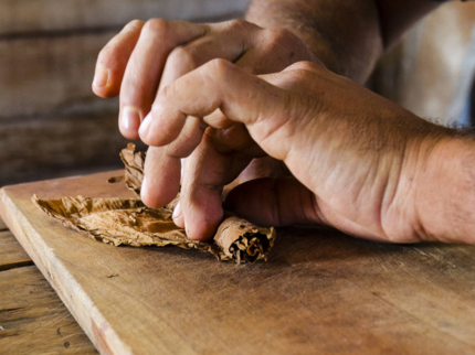 Tobacco processing, tobacco route