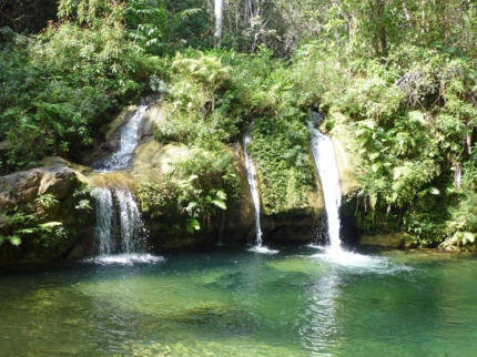 Alturas de Banao Ecological Reserve