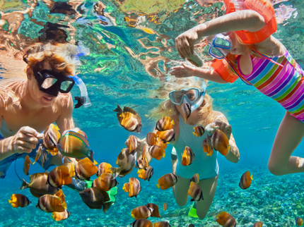 Snorkeling at the coral reef