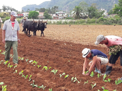 Peasant farm, "Nature and History" Soroa Trail