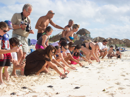 Turtle Nesting and Release Sighting" Tour