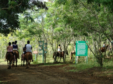 VISTAS, CABALLO Y ALMUERZO