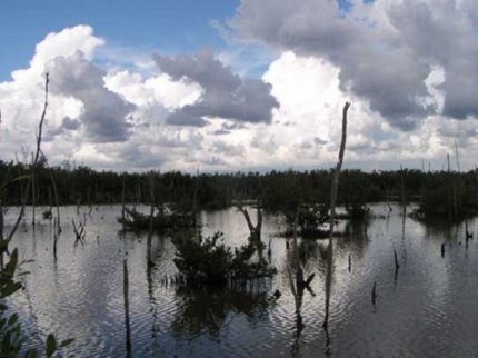 Safari Monte Cabaniguan