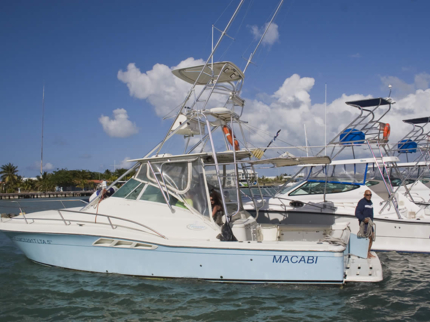 Fishing in Jardines del Rey Tour