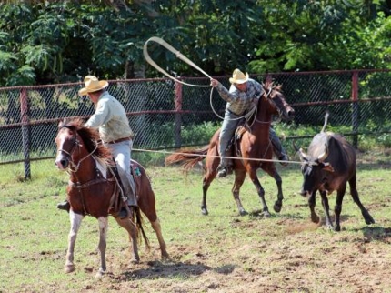 Rancho King Touristic Farm