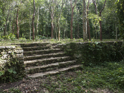 “Ruins of coffee plantations” Trail