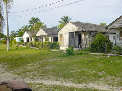 Jacksonville, pueblo cocodrilo