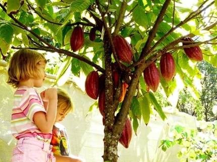 Cocoa route, Baracoa