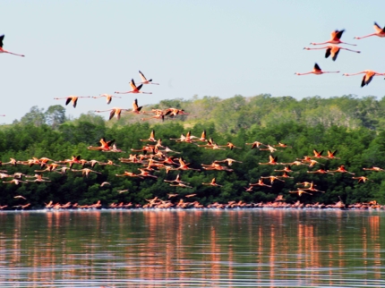 Guanaroca lagoon park