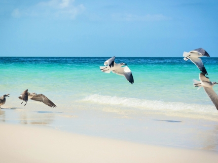 Playa Pilar panoramic view, Cayo Guillermo