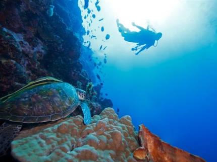 Scuba diving tour in Cayo Santa María