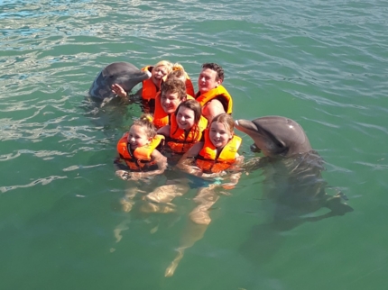 Dolphin Experience in Varadero