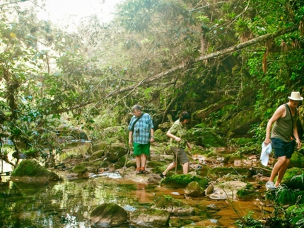 Tour to “the Altiplano of Tope de Collante” (Guanayara Natural Park)