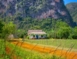 “Ride to Soroa -Viñales in Old Fashion American Classic Cars” Tour-