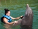 Swimming with dolphins tour at Cayo Guillermo dolphinarium