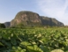 Panoramic Viñales Valley view